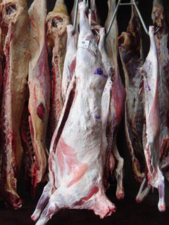 仔羊肉の画像